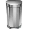 Simplehuman Pattumiere - Pattumiera 45 L, Acciaio Inox Spazzolato CW2030