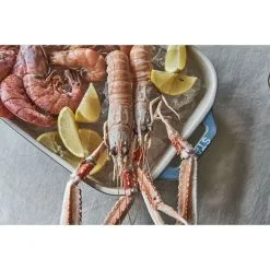 Staub Set Di Pirofile Rettangolare - 3-pz., Turchese Antico -Vendite Accessori per Cucina 424423155