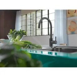 Franke Eos Neo - Miscelatore Da Lavello FC 0044.502, Nero 115.0613.590 5 Franke Eos Neo - Miscelatore Da Lavello FC 0044.502, Nero 115.0613.590 -Vendite Accessori per Cucina 68fba5df2517fd96f5959f72