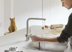 Franke Atlas Neo - Miscelatore Elettronico Da Lavello FC 5489.501, Acciaio Inox 115.0625.489 -Vendite Accessori per Cucina 93d951e6b023bdc5a5725ca5