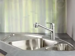 Hansa Pinto - Miscelatore Monocomando Per Lavello, Cromato 45182283 -Vendite Accessori per Cucina c114932027957f13f19c6318